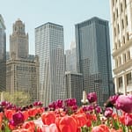 Lincoln Center Presents en Nueva York ofrece conciertos y shows gratis o “Paga lo que Quieras”